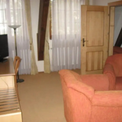 Hotel Zlaty Lev 4* Люкс фото 3