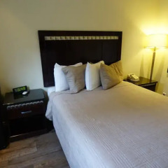 Отель Trylon Hotel - Hollywood США, Лос-Анджелес - отзывы, цены и фото номеров - забронировать отель Trylon Hotel - Hollywood онлайн удобства в номере фото 2