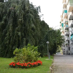 Home at Hotel Alcuino фото 2