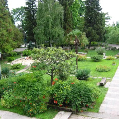 Гостиница Rosa Del Viento 3* Стандартный номер с различными типами кроватей фото 9