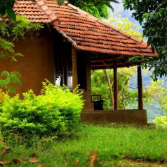 Отель Pepper Hills Cottages Номер Делюкс с различными типами кроватей фото 16