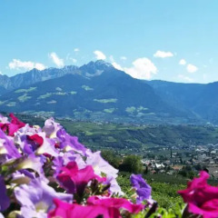 Отель Pension Alpenblick Лагундо фото 3