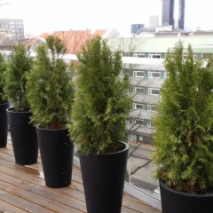 Отель Kreutzwaldi Penthouse балкон