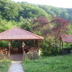 Отель Usadba Baza Otdyha Сочи фото 4