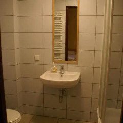 Frolic Goats Hostel Стандартный номер с 2 отдельными кроватями фото 8