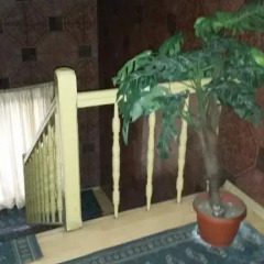 Shans 2 Hostel бассейн фото 2