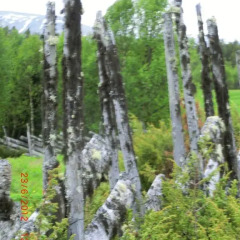 Отель Skjerdingen Høyfjellshotel фото 16