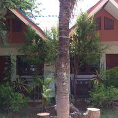 Отель The Krabi Forest Homestay 2* Стандартный номер с различными типами кроватей фото 40