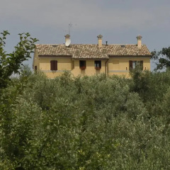 Отель Agriturismo Al Crepuscolo Италия, Реканати - отзывы, цены и фото номеров - забронировать отель Agriturismo Al Crepuscolo онлайн фото 5
