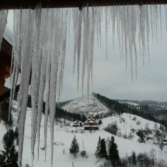 Гостиница Privatna Sadiba Chalet Украина, Волосянка - отзывы, цены и фото номеров - забронировать гостиницу Privatna Sadiba Chalet онлайн фото 4