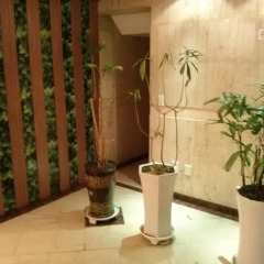 Отель Apsan Business Hotel Южная Корея, Тэгу - отзывы, цены и фото номеров - забронировать отель Apsan Business Hotel онлайн спа фото 2