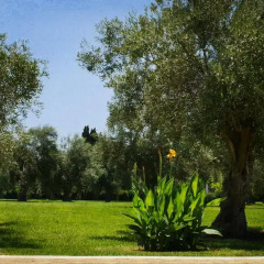Отель Villa Fanusa Сиракуза фото 2