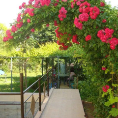 Отель Georgiev Guest House Болгария, Равда - отзывы, цены и фото номеров - забронировать отель Georgiev Guest House онлайн фото 4