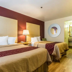 Отель Red Roof Inn Tulare - Downtown/Fairgrounds 2* Номер Делюкс с различными типами кроватей фото 5