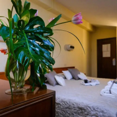 Hotel Grimaldi 3* Стандартный номер фото 5