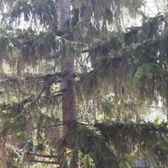 Гостиница Guest House near Nero Lake в Ростове Великом отзывы, цены и фото номеров - забронировать гостиницу Guest House near Nero Lake онлайн Ростов Великий балкон