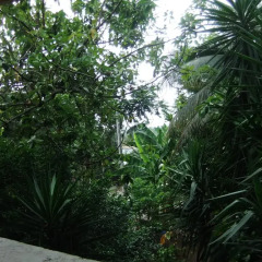 Garden Hostel фото 3