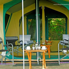 Отель The Yala Camping бассейн