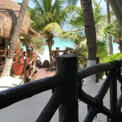 Beachfront Hotel La Palapa - Adults Only 3* Стандартный номер с различными типами кроватей фото 8