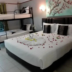 Samui Green Hotel 3* Стандартный номер с различными типами кроватей фото 4