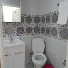 Отель Tulip Guesthouse 2* Стандартный номер с двуспальной кроватью фото 14