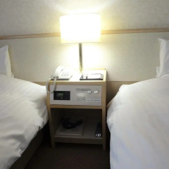 Toyama Chitetsu Hotel 2* Номер Делюкс