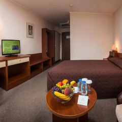 Отель Interhotel Sandanski 4* Стандартный номер с разными типами кроватей фото 4