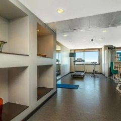Отель Holiday Inn Porto Gaia фитнесс-зал фото 3