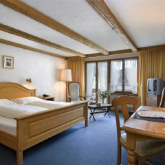 Hotel Alphorn 3* Номер Комфорт с различными типами кроватей