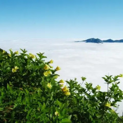 Отель TAISETSU Камикава пляж