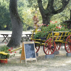 Гостиница Vizimalom Kemping, Panzió és Étterem детские мероприятия