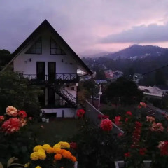 Отель Sherwood Cottage фото 3