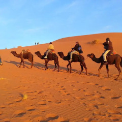 Отель Le Petit Prince Merzouga Марокко, Мерзуга - отзывы, цены и фото номеров - забронировать отель Le Petit Prince Merzouga онлайн фитнесс-зал