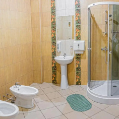 Гостиница Милославский 4* Номер категории Эконом с двуспальной кроватью