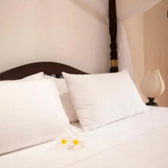 Отель Mango House 2* Стандартный номер с различными типами кроватей фото 5