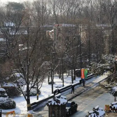 Отель Bong House Южная Корея, Сеул - отзывы, цены и фото номеров - забронировать отель Bong House онлайн