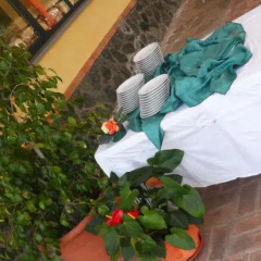 Отель Agriturismo Cascina Concetta Италия, Пиццо - отзывы, цены и фото номеров - забронировать отель Agriturismo Cascina Concetta онлайн в номере