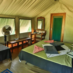 Отель Kulu Safaris Mobile Tented Camping Шри-Ланка, Тиссамахарама - отзывы, цены и фото номеров - забронировать отель Kulu Safaris Mobile Tented Camping онлайн комната для гостей