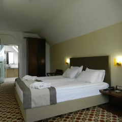 Central Hotel Sofia 4* Номер Комфорт с различными типами кроватей фото 7