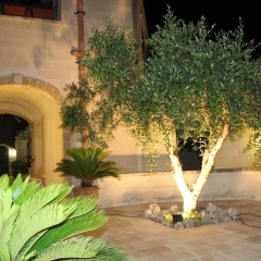 Отель B&B Borgo Antico Дизо помещение для мероприятий