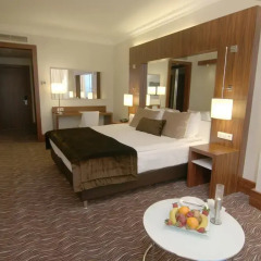 Ikbal Thermal Hotel & SPA Afyon 5* Номер Делюкс с различными типами кроватей фото 5
