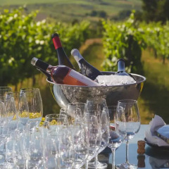Отель Quinta da Barroca Португалия, Армамар - отзывы, цены и фото номеров - забронировать отель Quinta da Barroca онлайн приотельная территория фото 2