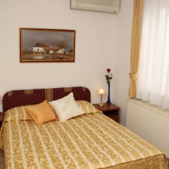 Hotel Vila Tina 3* Номер категории Эконом с различными типами кроватей фото 5
