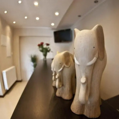 Отель Villa Pallas Польша, Гданьск - отзывы, цены и фото номеров - забронировать отель Villa Pallas онлайн спа