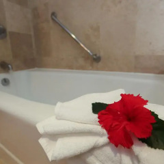 Отель Azul Ixtapa Resort - Все включено ванная