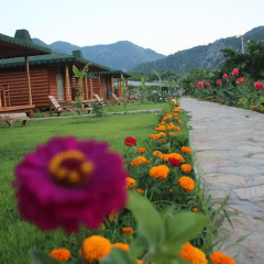 Отель Cirali Almira Bungalow фото 15