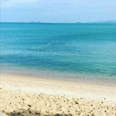 Отель Coco House Samui Самуи пляж