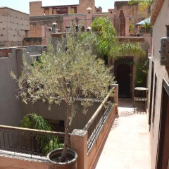 Отель Riad Palmier Марокко, Марракеш - отзывы, цены и фото номеров - забронировать отель Riad Palmier онлайн фото 7