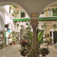 Отель Apartamentos Jerez Испания, Херес-де-ла-Фронтера - отзывы, цены и фото номеров - забронировать отель Apartamentos Jerez онлайн фото 6