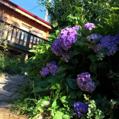 Pilita Bungalov&Rest Турция, Чамлыхемшин - отзывы, цены и фото номеров - забронировать отель Pilita Bungalov&Rest онлайн